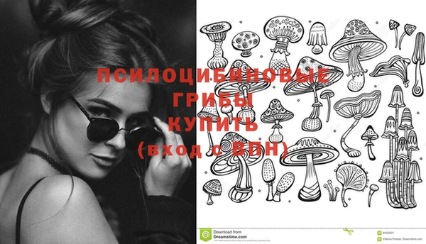 гидра Алексеевка