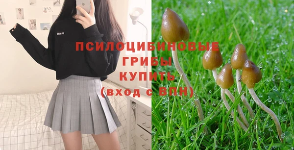 кокс Алексин