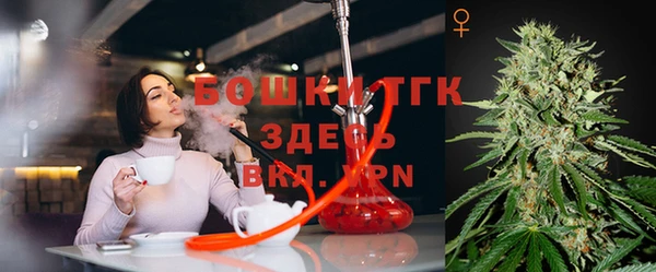 кокс Алексин